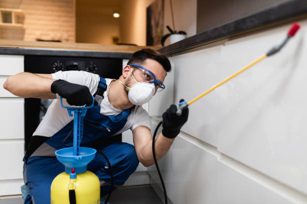 Best Affordable Pest Control Services  in Sanatoga, PA