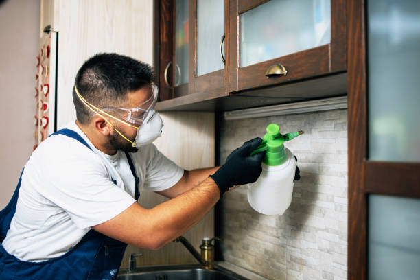 Best Affordable Pest Control Services  in Sanatoga, PA
