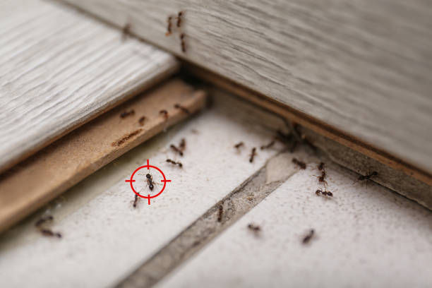 Best Residential Pest Control  in Sanatoga, PA