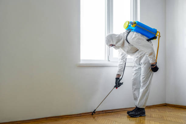 Best Emergency Pest Control  in Sanatoga, PA