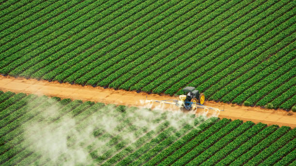 Best Commercial Pest Control Services  in Sanatoga, PA