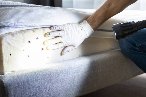 Best Wasp Removal Services  in Sanatoga, PA