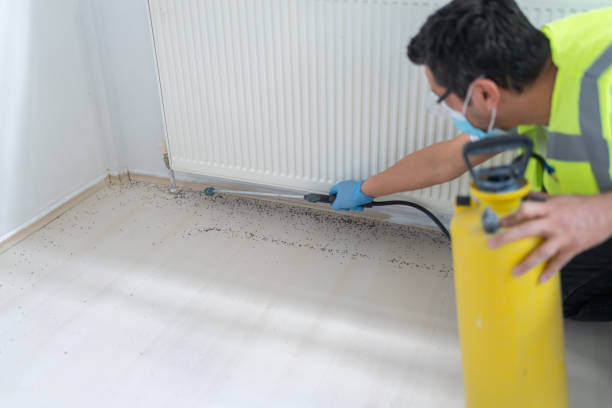 Best Mosquito Control Services  in Sanatoga, PA